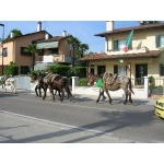 87_adunata_Pordenone-103